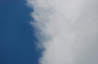 pretendovat ton airdrop na starknet bez kyc