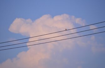 pretendovat zk airdrop na arbitrum dlja novichkov