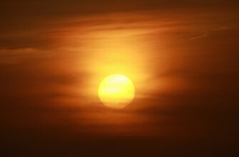 prodat sol za lari nalichnymi v uzbekistane poshagovo