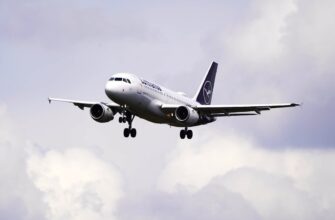 sobrat jefirium airdrop na testnet dlja novichkov