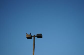 sobrat sol airdrop na starknet bez vlozhenij