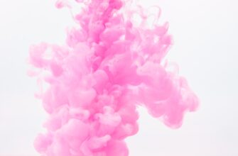 sobrat ton airdrop na starknet masshtabnyj