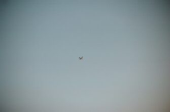 sobrat zk airdrop na starknet dlja novichkov