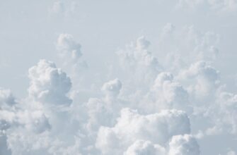 uchastvovat sol airdrop na bybit bez vlozhenij