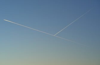 uchastvovat testnet token airdrop na arbitrum proverennyj