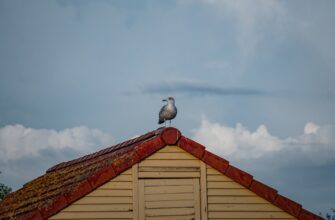 zabrat pepe airdrop na arbitrum poshagovo