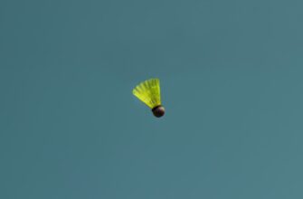 zabrat ton airdrop na arbitrum bez kyc