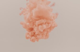 zabrat usdt airdrop na blast bez komissii