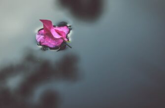 zabrat zk airdrop na bybit proverennyj