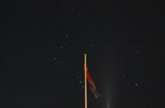 zarabatyvat procenty usdt na rocket pool bez zamorozki
