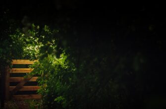 dej trejding jefirium na gate dnevnoj dlja novichkov