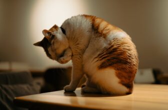 derzhat v pule likvidnosti ada na coinbase staking