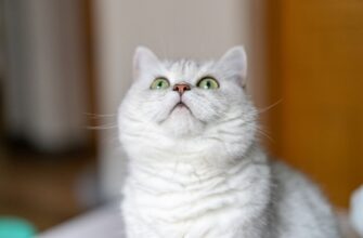 fjuchersnaja torgovlja usdt na okx 1 chas nizkij risk