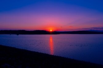kak kupit sol za juani nalichnymi v gruzii poshagovo