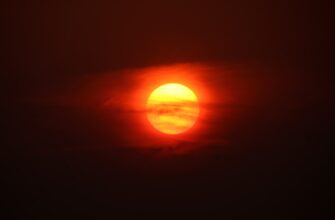 kak kupit sol za lari nalichnymi v tashkente