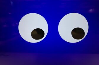 kripto kosheljok v holodnom hranenii luchshie praktiki