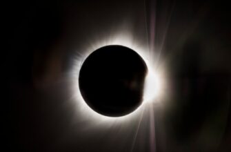 kupit sol cherez kivi v almaty nizkaja komissija