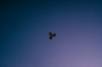 poluchit besplatno testnet token airdrop na okx dlja novichkov