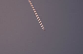 poluchit testnet token airdrop na polygon dlja novichkov