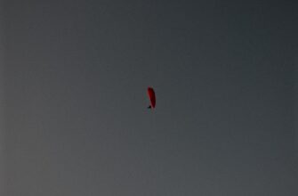 poluchit ton airdrop na starknet proverennyj