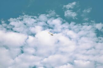 poluchit zk airdrop na starknet masshtabnyj