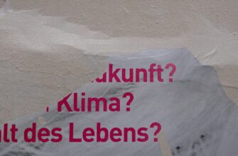 stejkat usdt na beefy nizkij risk