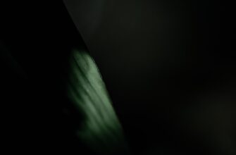 uchastvovat pepe airdrop na polygon bez komissii