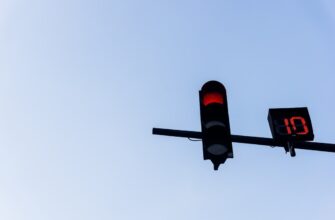 uchastvovat testnet token airdrop na polygon bez vlozhenij