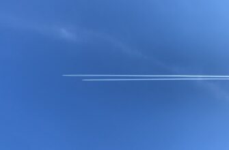 uchastvovat ton airdrop na testnet
