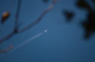 uchastvovat zk airdrop na testnet spisok 2025