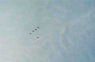 zabrat testnet token airdrop na zksync bez kyc
