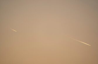 zabrat usdt airdrop na starknet