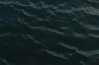 zarabatyvat procenty bnb na kraken staking gibkij depozit