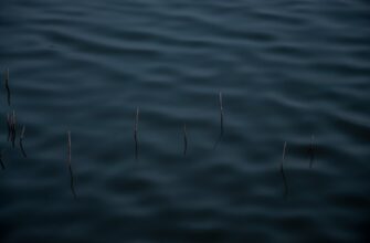 davat v lending usdt na kraken staking bez zamorozki