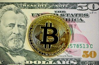 derzhat v pule likvidnosti cardano na compound poshagovo