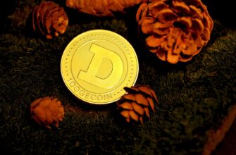 derzhat v pule likvidnosti sol na binance earn poshagovo