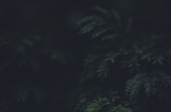 kak vosstanovit akkaunt oflajn nizkaja stoimost