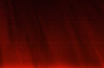 poluchit besplatno usdt airdrop na starknet bez vlozhenij