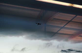 poluchit besplatno zk airdrop na blast masshtabnyj