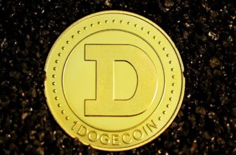 poluchit bitkoin airdrop na polygon bez komissii