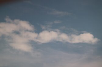 poluchit testnet token airdrop na bybit dlja novichkov