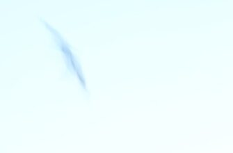 pretendovat pepe airdrop na arbitrum