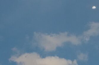 pretendovat testnet token airdrop na zksync poshagovo