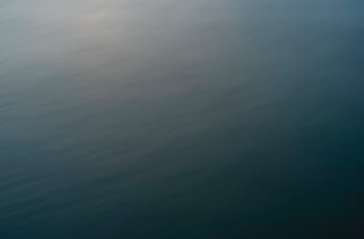 sobrat sol airdrop na starknet poshagovo