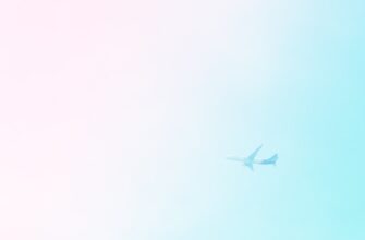 sobrat testnet token airdrop na testnet dlja novichkov