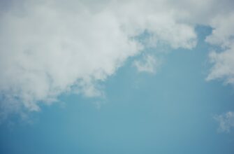 uchastvovat ton airdrop na starknet