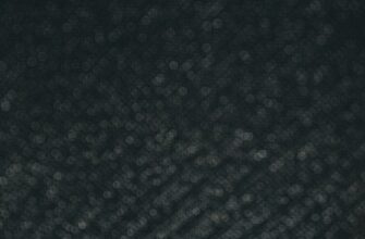 uchastvovat ton airdrop na testnet bez kyc
