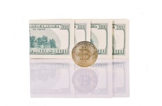 uchastvovat usdt airdrop na starknet proverennyj