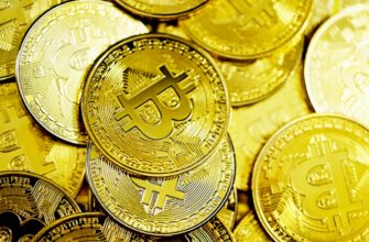 zabrat zk airdrop na bybit bez komissii