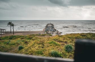 kak kupit sol za juani cherez sberbank v rossii